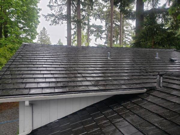 Soft Wash Roof (SWR) Cleaning